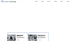 Desktop Screenshot of newblueconsulting.com